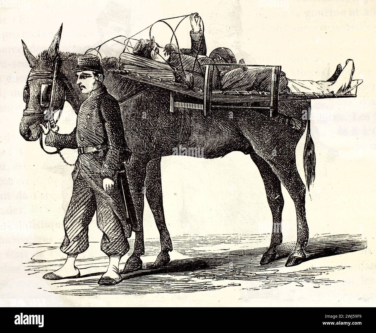 Soldat blessé transporté par litière muletière, guidé par un homme en uniforme, à partir des illustrations de 1878 de Brehm du transport médical militaire du XIXe siècle. Banque D'Images