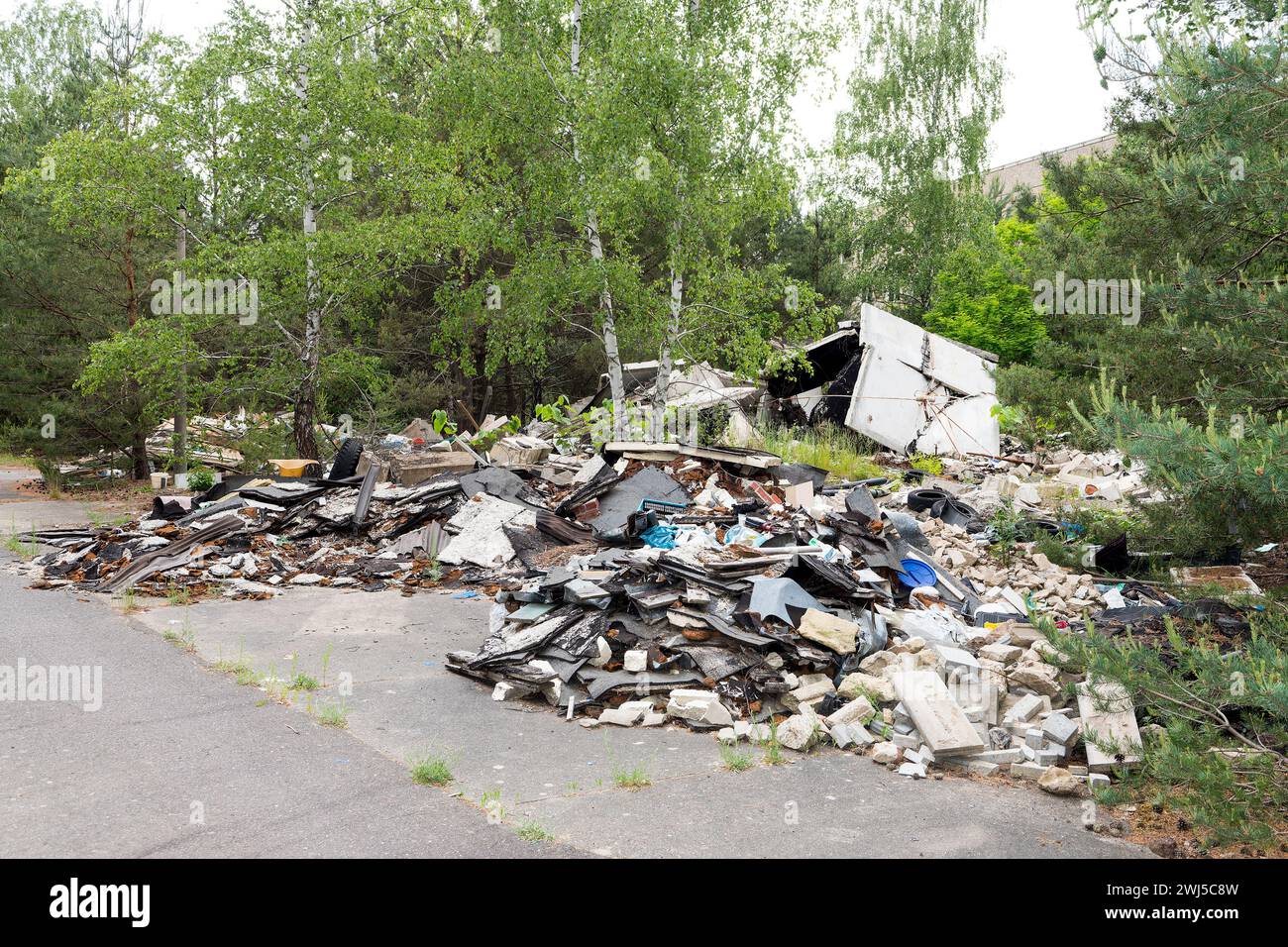Déversement illégal de déchets volumineux dans la forêt Banque D'Images