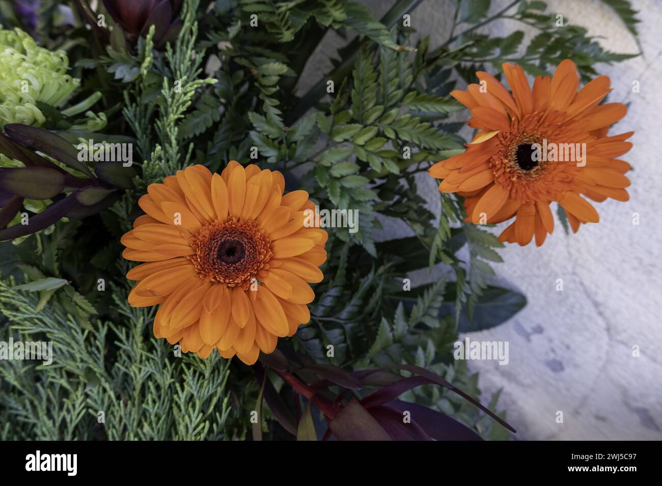 Détail d'un joli bouquet de fleurs fraîches dans un cimetière Banque D'Images