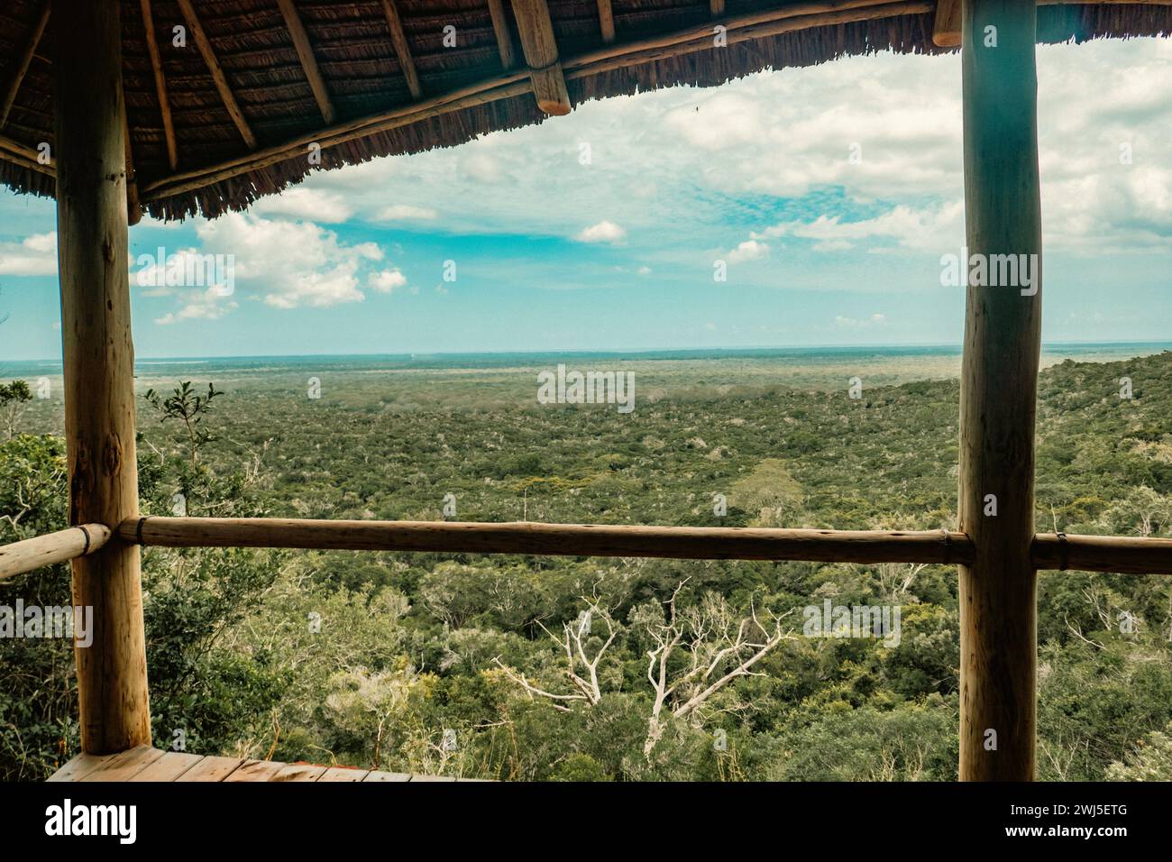 Vue panoramique de la forêt Arabuko Sokoke à Malindi vue depuis Nyari View point à Malindi, Kenya Banque D'Images