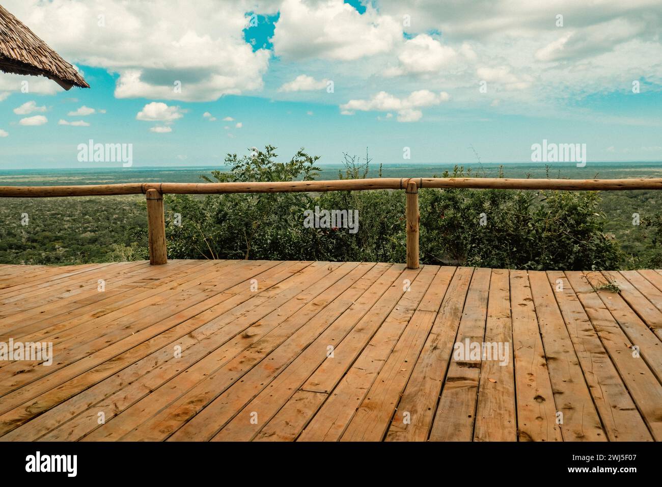 Vue panoramique de la forêt Arabuko Sokoke vue depuis Nyari View point à Watamu, Malindi, Kenya Banque D'Images