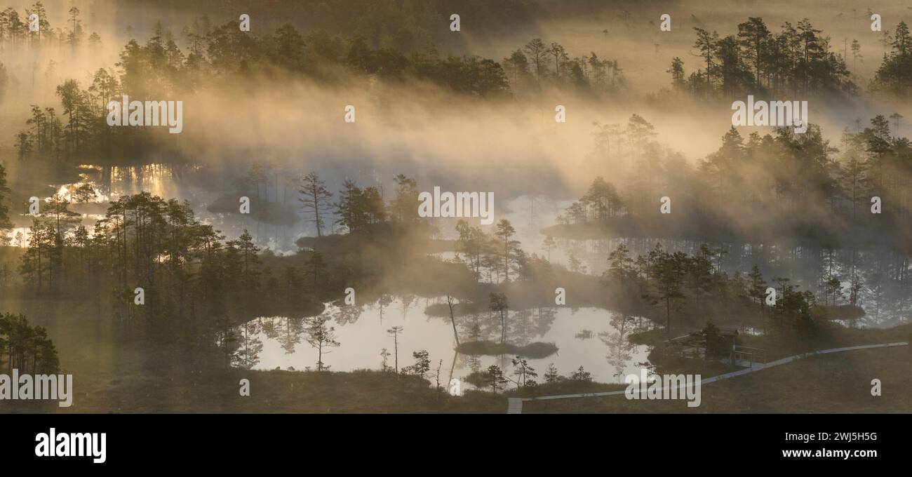 Une vue panoramique du sentier naturel Rannametsa-Tolkuse dans la réserve naturelle de Luitemaa de la zone humide Ramsar en Estonie Banque D'Images