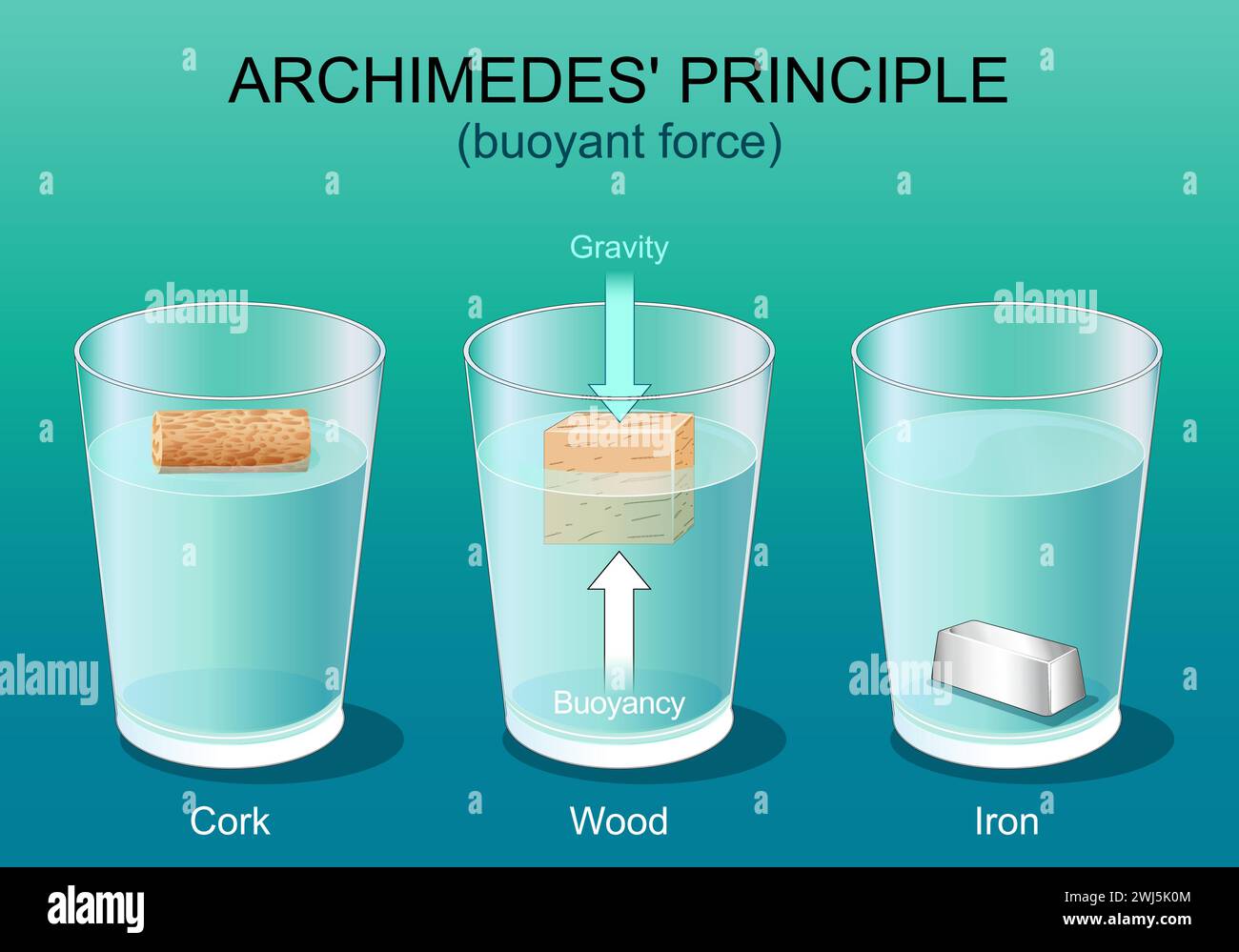 Principe d'Archimède. Gravité et force flottante. Trois verres avec eau, fer, bois et liège. Corps flottants. Droit physique. Affiche vectorielle. Isometri Illustration de Vecteur