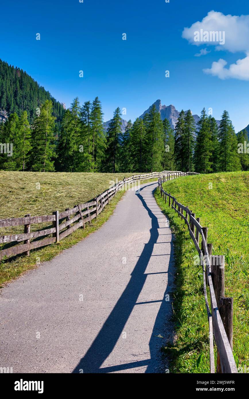 Sentier alpin sinueux à travers des prairies rurales verdoyantes par une journée ensoleillée contre le ciel bleu. Tyrol du Sud, massif des Dolomites, Trentin, Val Fiscalina, fisc Banque D'Images