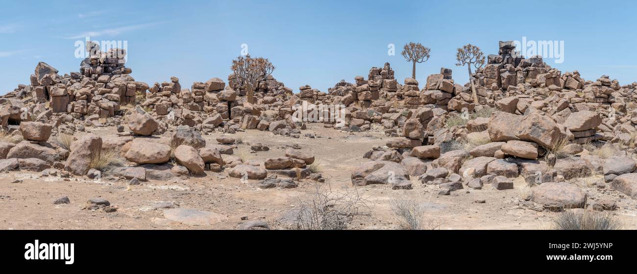 Paysage panoramique avec des arbres Quiver dans des rochers de dolérite essaim au désert, tourné dans la lumière brillante de fin de printemps au Giants Playground, Keetmansoop, Namib Banque D'Images