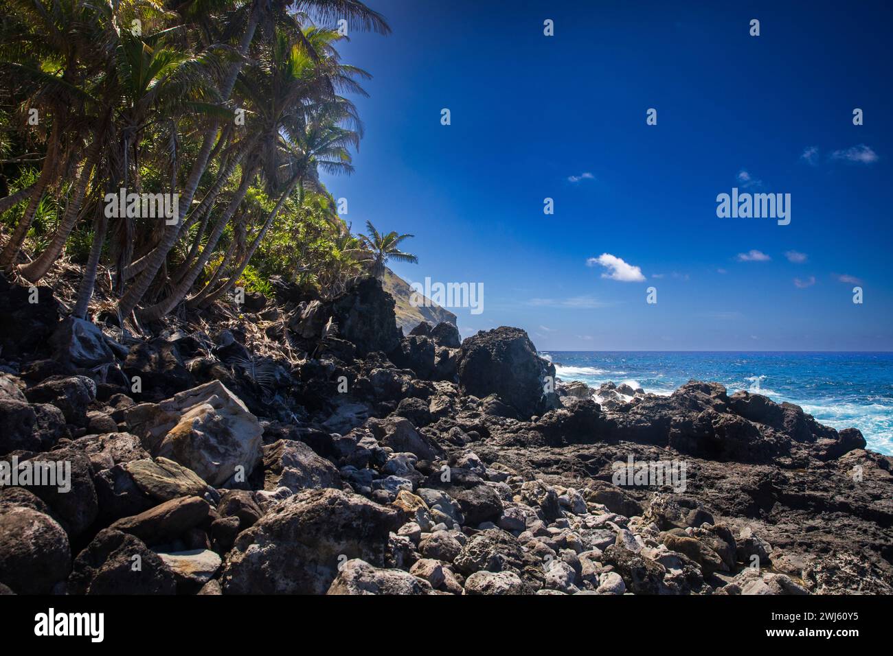 Le rivage volcanique rocheux typique de Pitcairn Island dans l'océan Pacifique Sud Banque D'Images