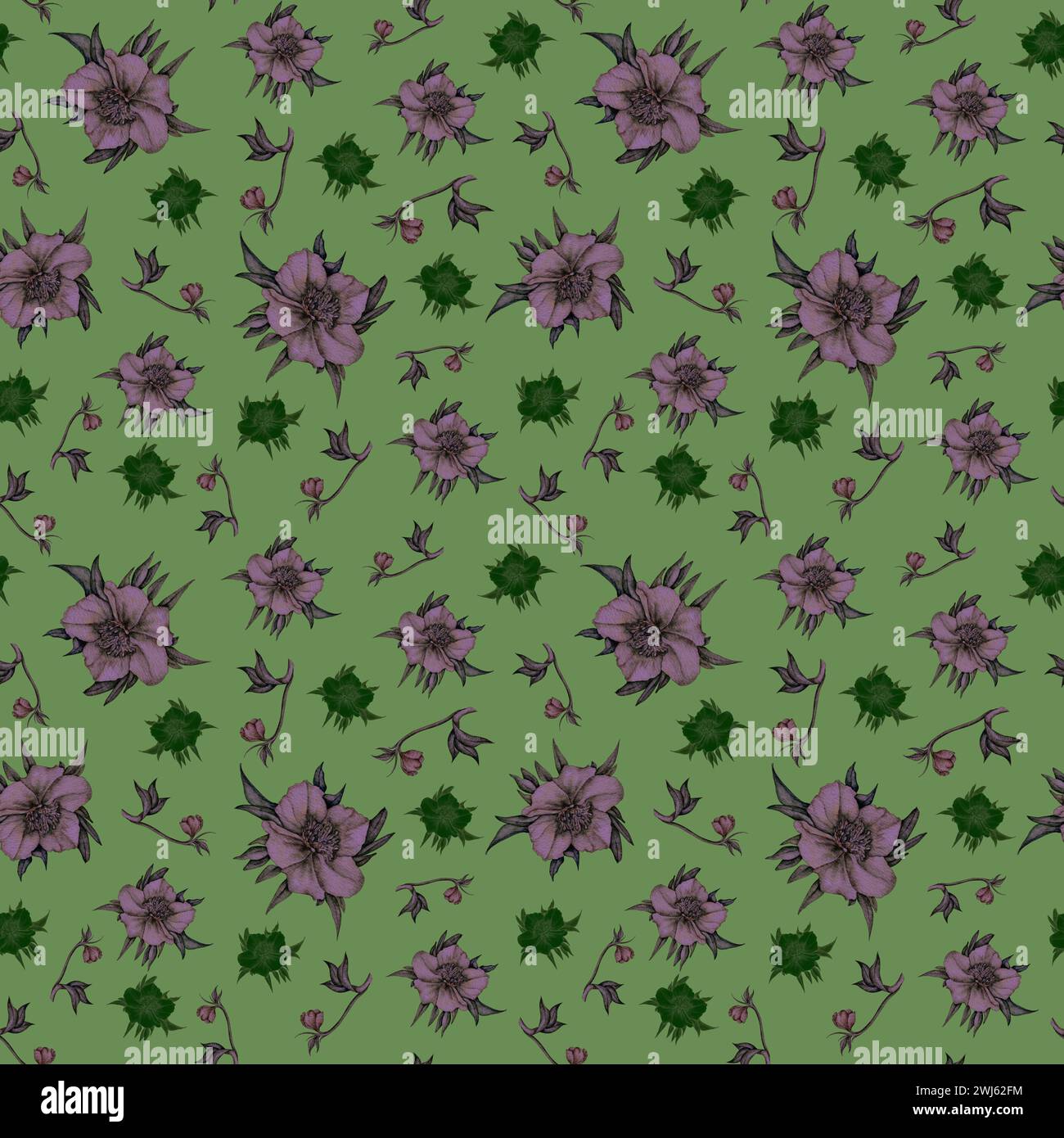 Modèle sans couture avec des fleurs d'hellebore sur un fond vert vif. Un motif printanier et festif. Pâques, fête des mères, anniversaire, concepteurs de mariage Banque D'Images