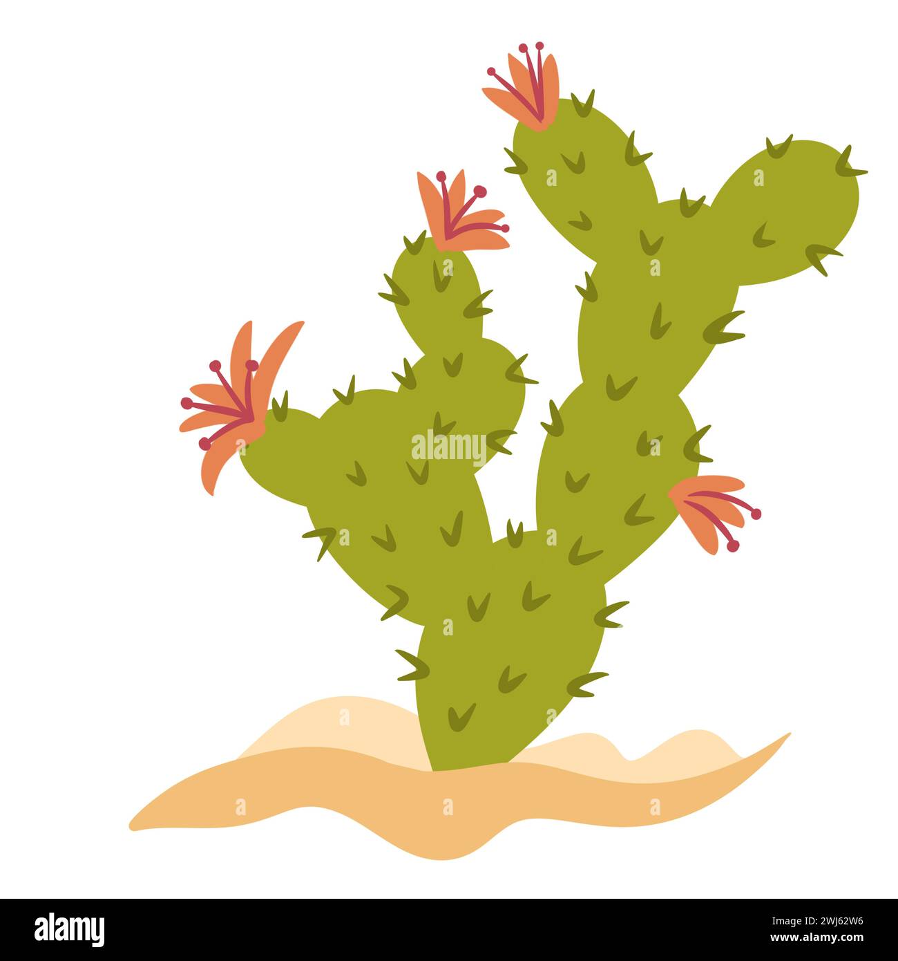 Illustration dessinée à la main de cactus vert du désert avec des fleurs orangées dans le sable. Nature plante art botanique, cactus arbre naturel, style occidental succulent, fleur mexicaine bande dessinée clipart minimaliste Banque D'Images