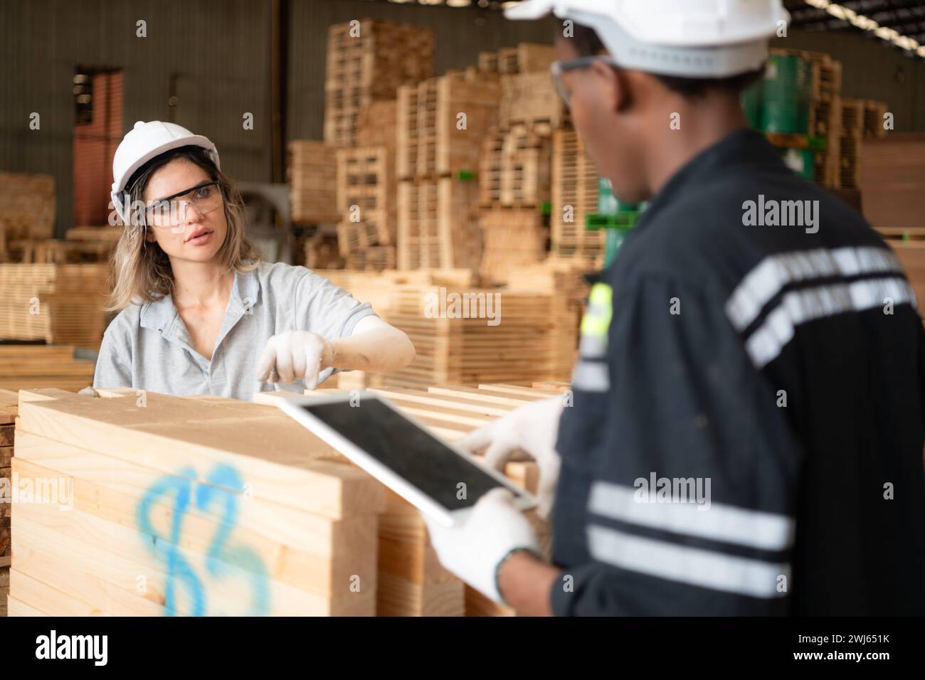 Jeunes ouvriers d'entrepôt féminins et masculins utilisant la tablette numérique pour travailler dans l'usine de bois, vérifiant la propreté des planches Banque D'Images