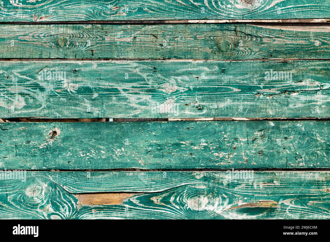 Texture en bois d'une vieille clôture faite de planches rustiques vertes peintes Banque D'Images