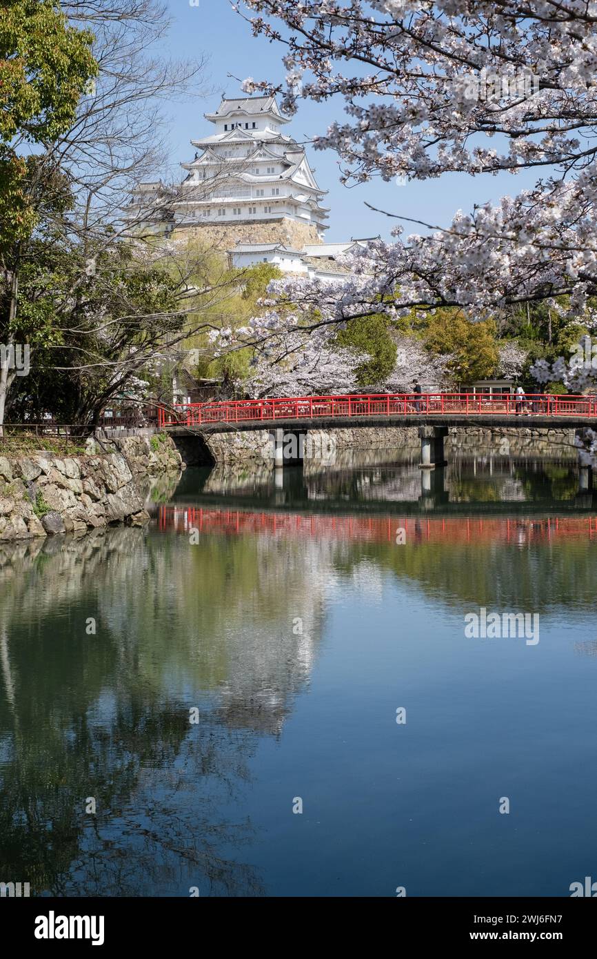 Château de Himeji vu au-dessus des douves, avec le pont Shiromi et la fleur de cerisier au premier plan, Himeji, Japon Banque D'Images