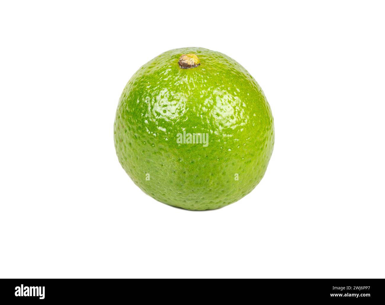 Un petit citron vert frais isolé sur fond blanc Banque D'Images