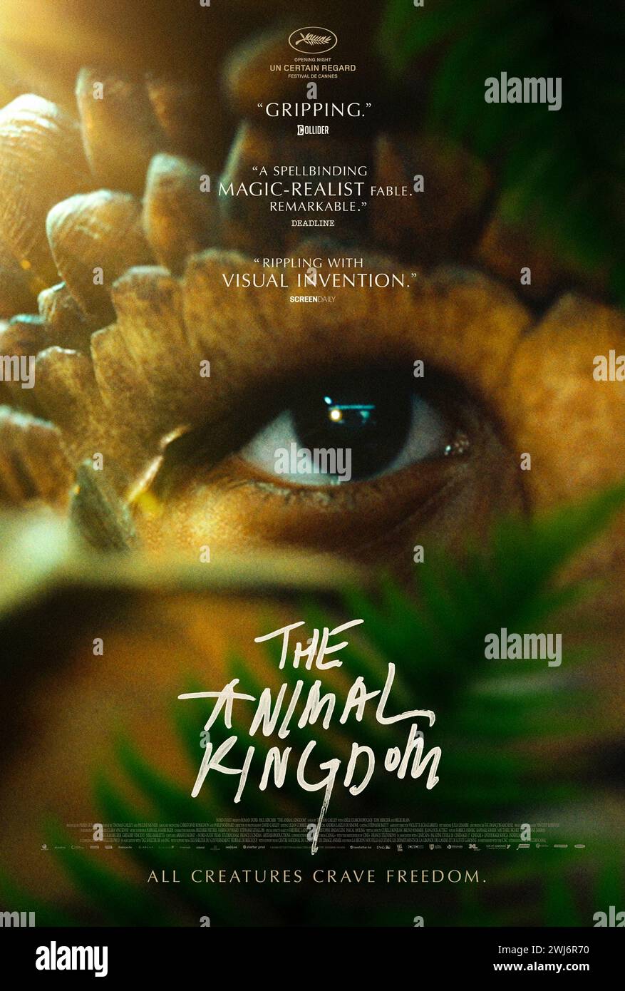 Le Royaume des animaux (2024) réalisé par Thomas Cailley avec Romain Duris, Paul Kircher et Adèle Exarchopoulos. Une aventure entre un père et son fils, dans un monde où certains humains ont commencé à muter en d’autres espèces animales. Affiche US One Sheet ***USAGE ÉDITORIAL SEULEMENT***. Crédit : BFA / Bleecker Street Media Banque D'Images