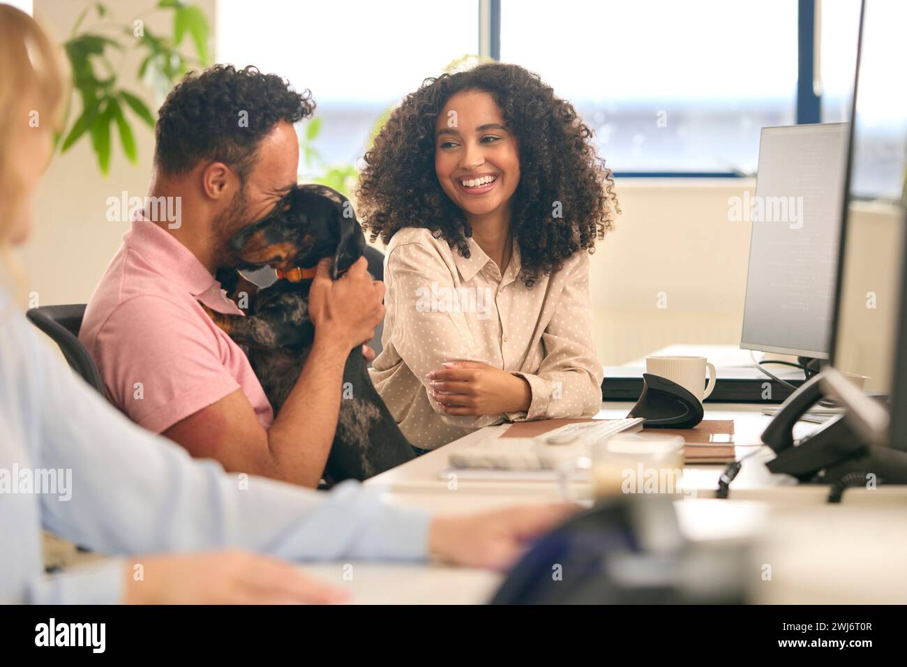 Femme travaillant dans le bureau Based Business Training homme avec le syndrome de Down tenant Pet Dachsund Dog Banque D'Images