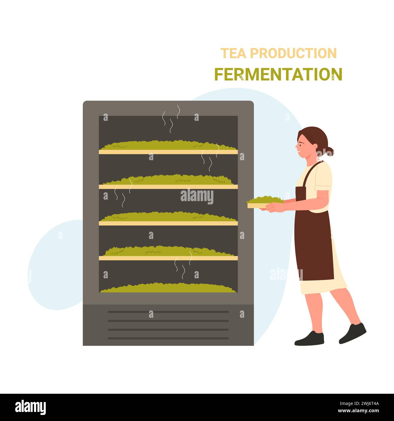 Procédé de fermentation des feuilles de thé. Production industrielle de thé, illustration vectorielle de dessin animé d'usine de thé naturel Illustration de Vecteur