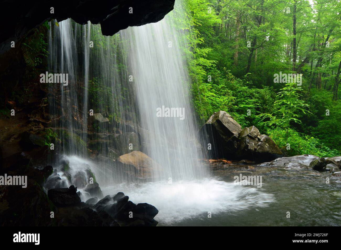 Un sentier de randonnée mène les aventuriers à Grotto Falls, où les gens peuvent se tenir derrière une cascade dans le parc national des Great Smokey Mountains Banque D'Images