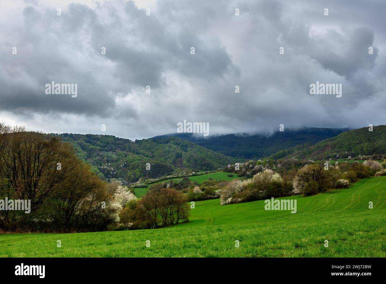 Paysage de montagne printanier après la pluie. Avec le ciel cludy et les nuages gris.eau s'évaporant de la forêt. Herbe fraîche. Fleurs d'arbres Vrsatec, Slovaquie Banque D'Images