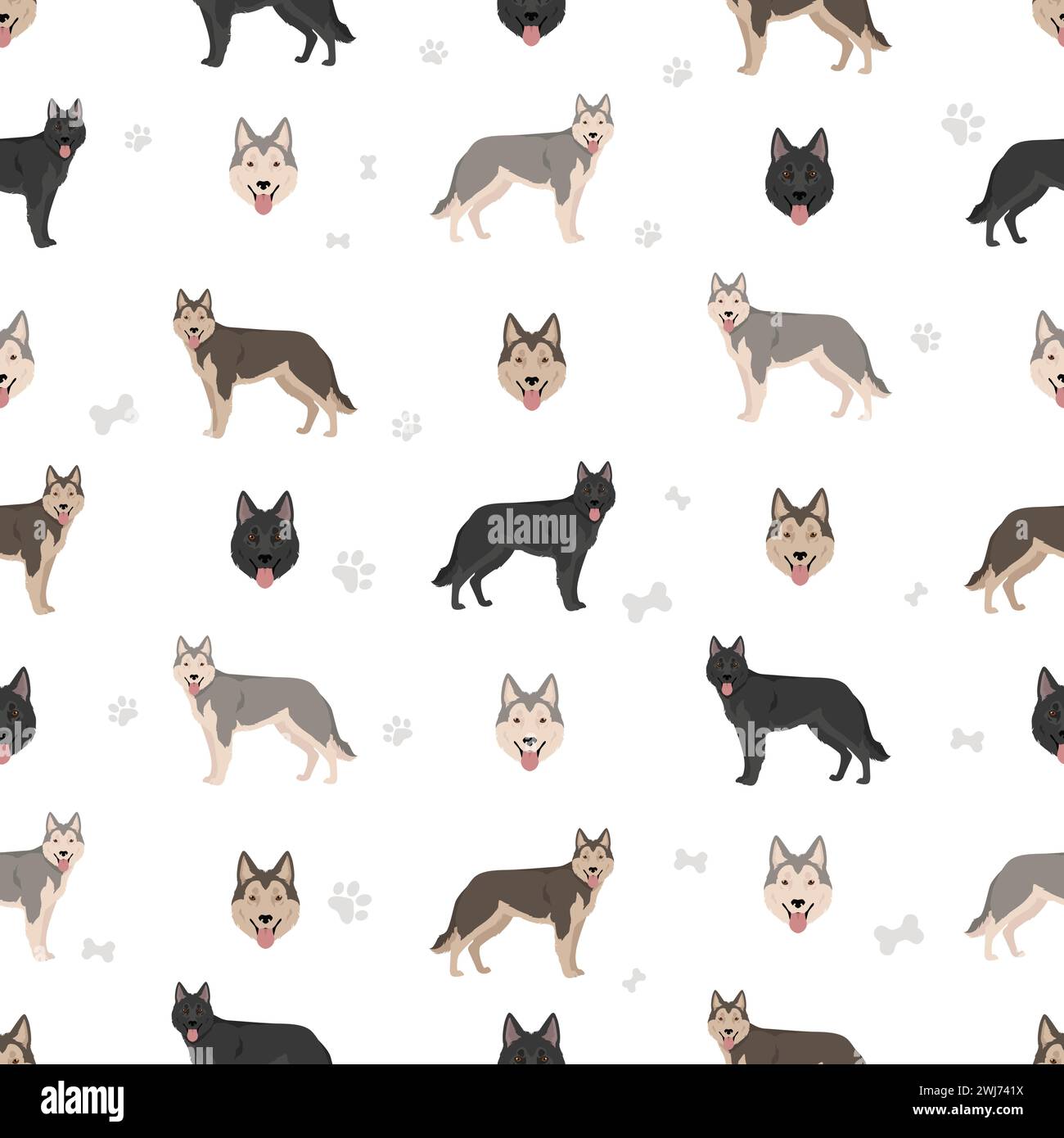 Motif sans couture pour chien Inuit du Nord. Toutes les couleurs de pelage ensemble. ; Toutes les races de chiens caractéristiques infographie. Illustration vectorielle Illustration de Vecteur