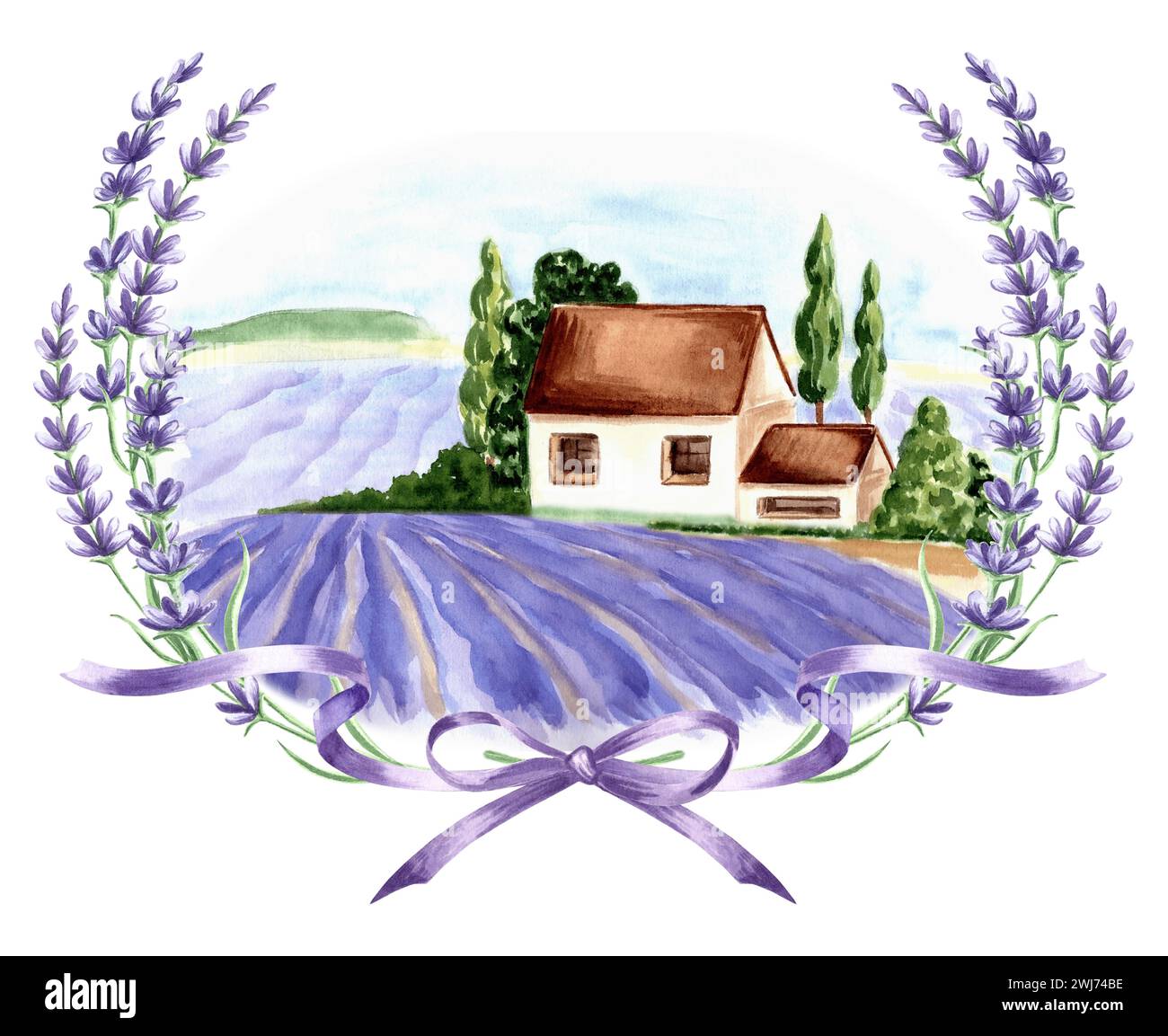 Champs violets lavande. Paysage d'été Provence dans le cadre délicat rond de fleurs de lavande violette avec arc et rubans. modèle isolé dessiné à la main Banque D'Images