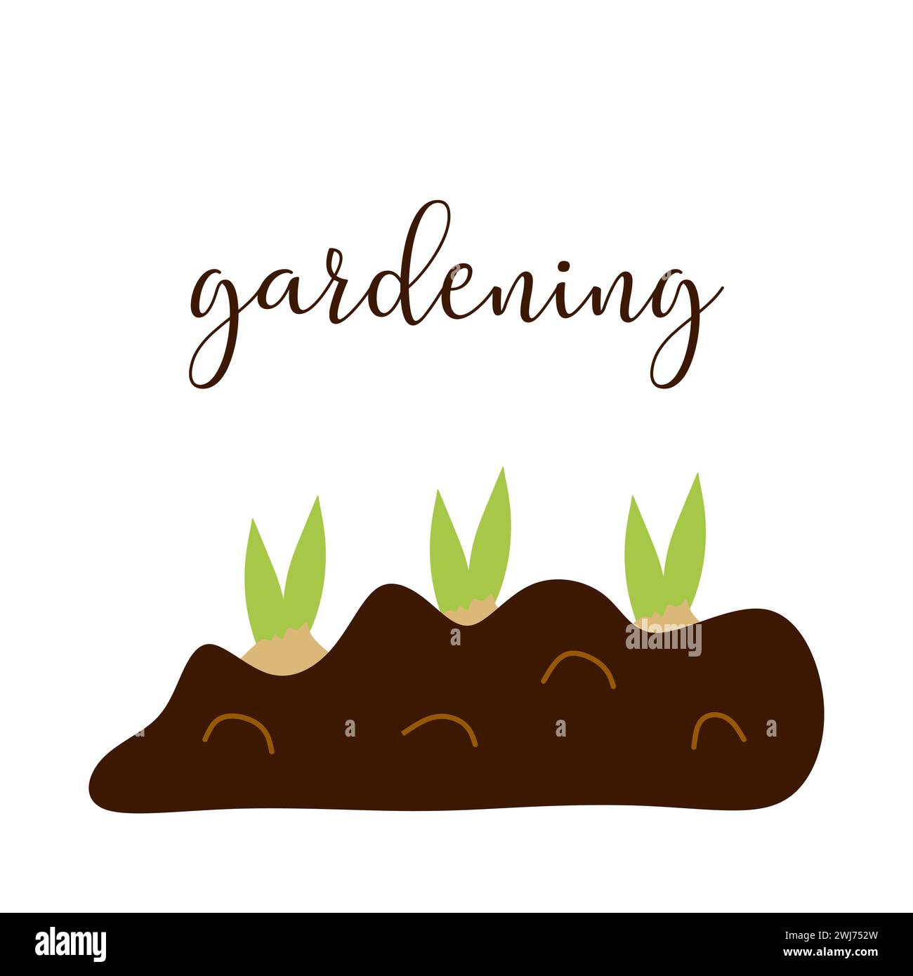 Trois bulbes de fleurs plantés dans le sol avec lettrage Text Gardening. Illustration Vector Flat ou Cartoon isolée sur blanc. Culture printanière et Illustration de Vecteur