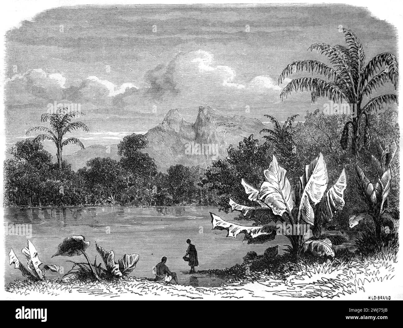 Vue anticipée de Grande rivière River Mauritius. Gravure vintage ou historique ou illustration 1863 Banque D'Images