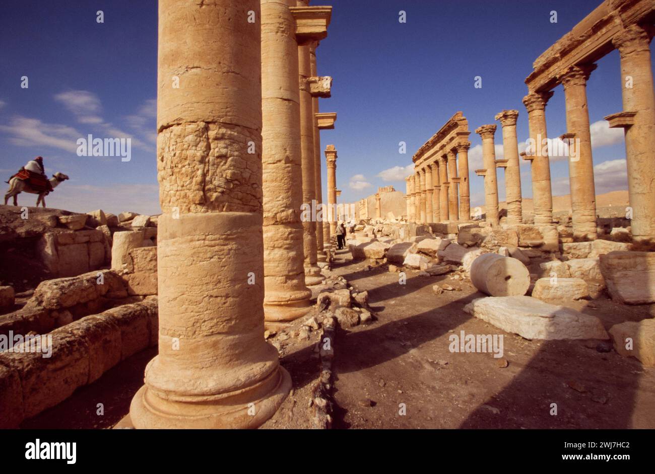 Oasis dans le désert syrien, au nord-est de Damas, Palmyre contient les ruines monumentales d'une grande ville.Syrie Banque D'Images