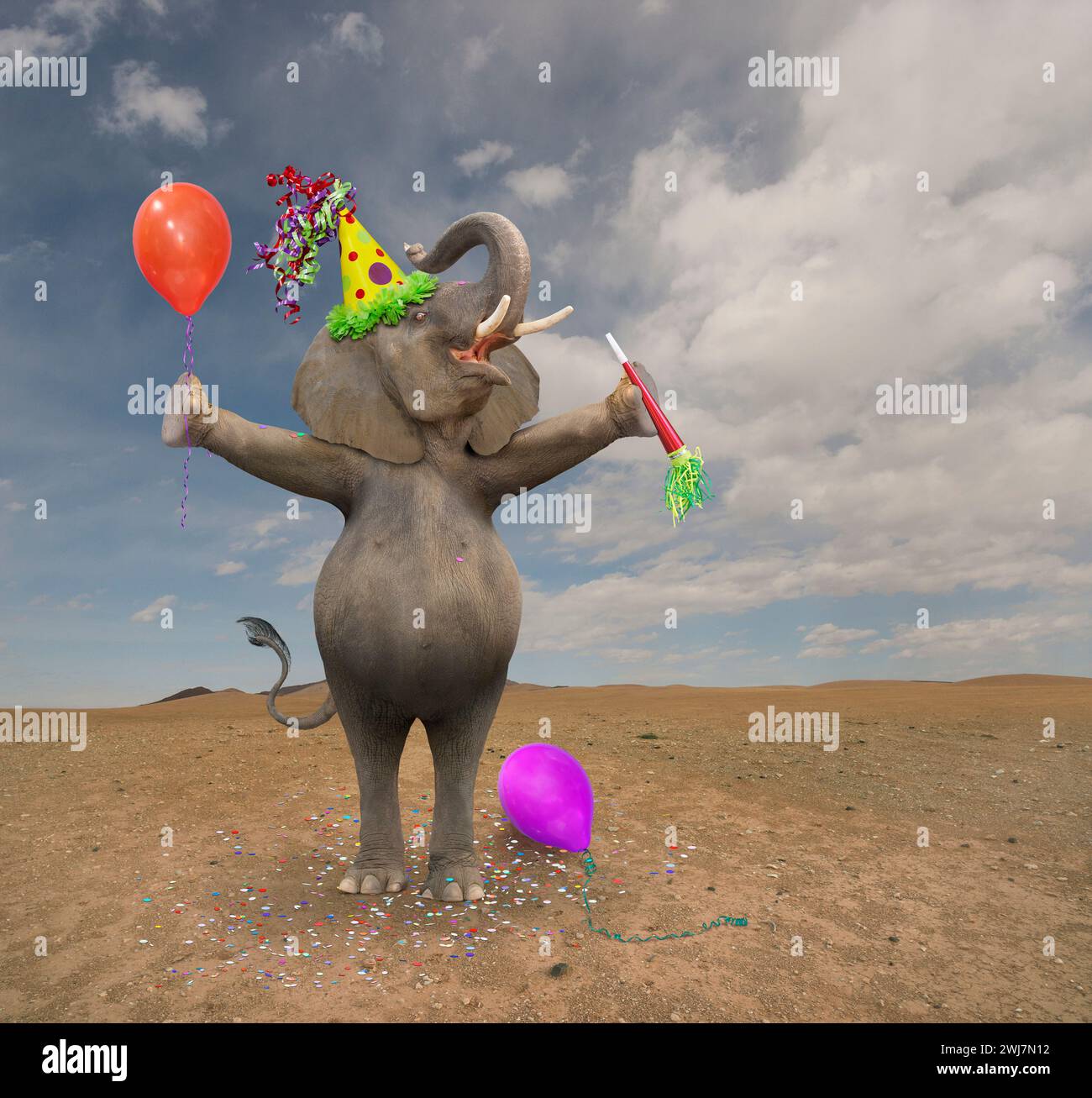 Un éléphant drôle étire ses bras et tient un ballon et un générateur de bruit dans une célébration et une annonce Banque D'Images