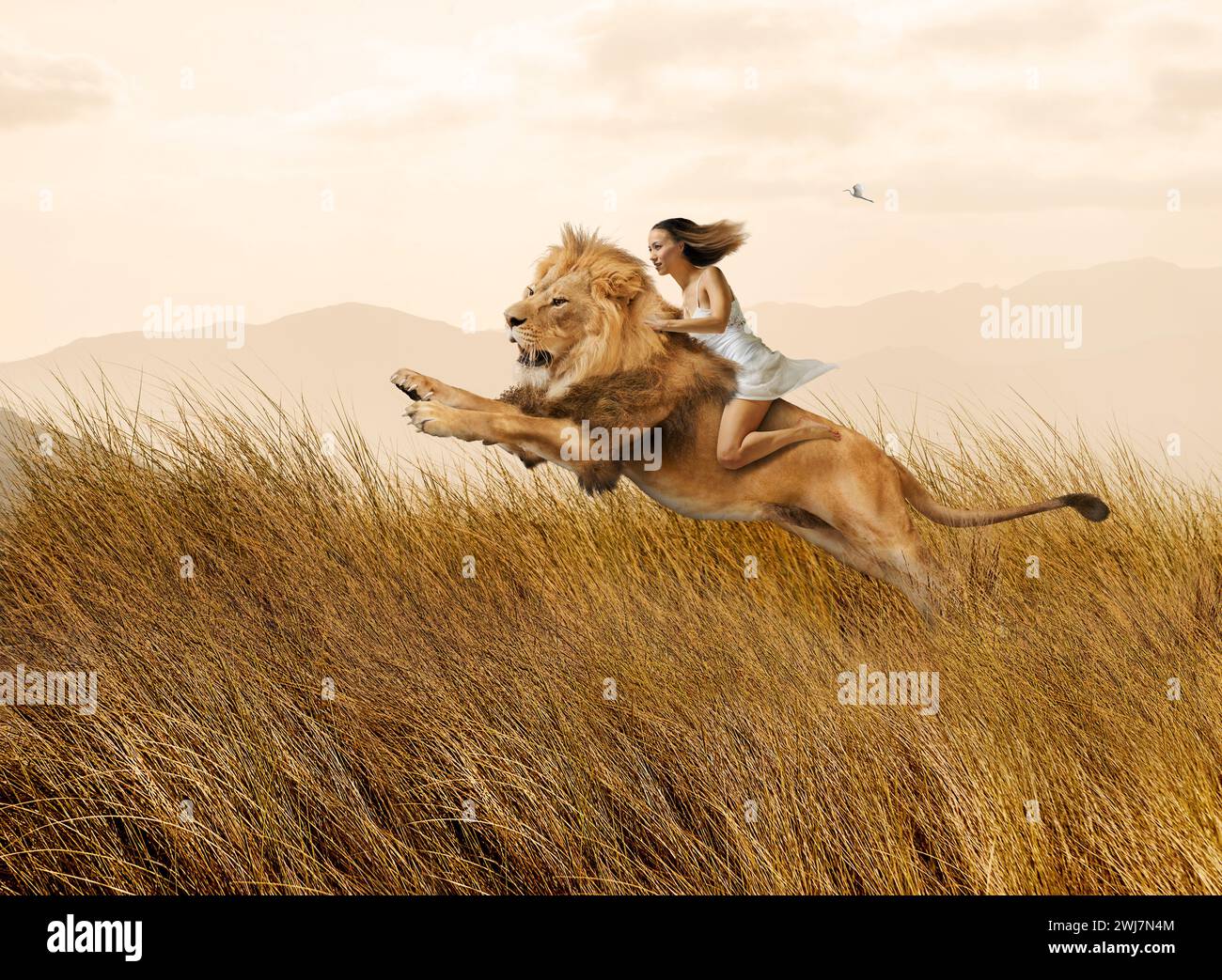 Une femme monte un lion bondissant à travers de hautes herbes dans une image sur les femmes fortes, le courage, l'audace, la possibilité et le leadership Banque D'Images