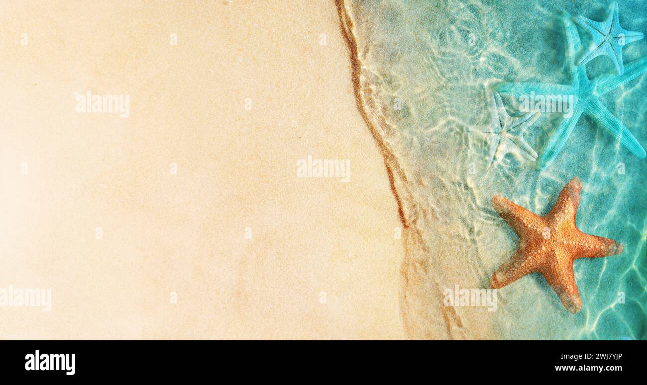 Étoile de mer sur la plage d'été dans l'eau de mer. Arrière-plan de l'été. L'heure d'été. Banque D'Images