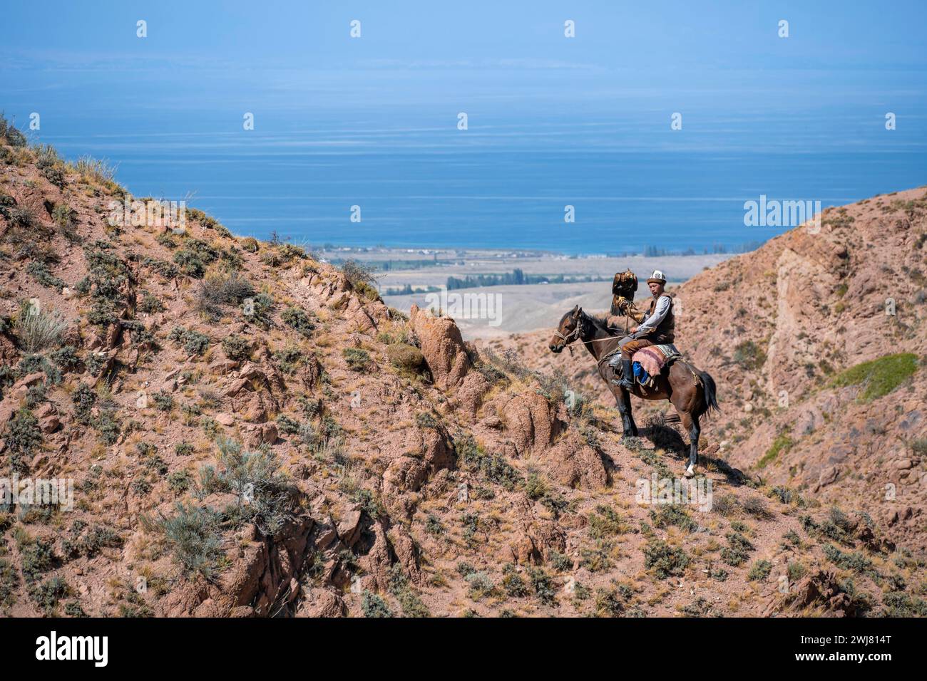 Chasseur traditionnel d'aigle kirghize avec aigle dans les montagnes, chassant à cheval devant un paysage sec, près de Kysyl-Suu, Issyk Kul, Kirghizistan, AS Banque D'Images