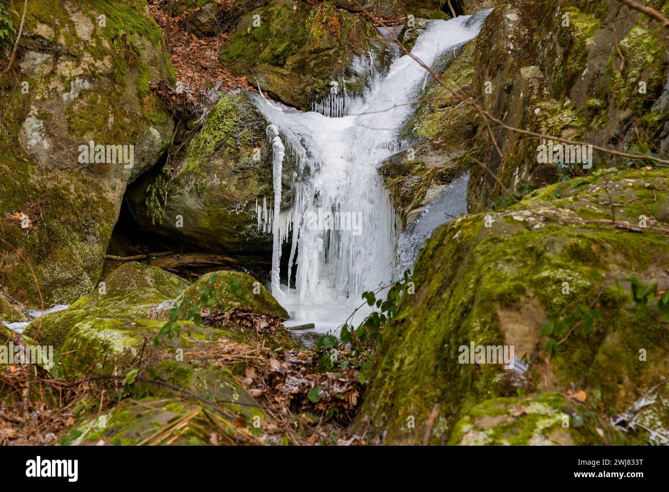 Avec une hauteur de chute libre d'environ 9 mètres, c'est la plus haute cascade naturelle de Suisse saxonne. En hiver, quand il gèle, il se transforme en Banque D'Images