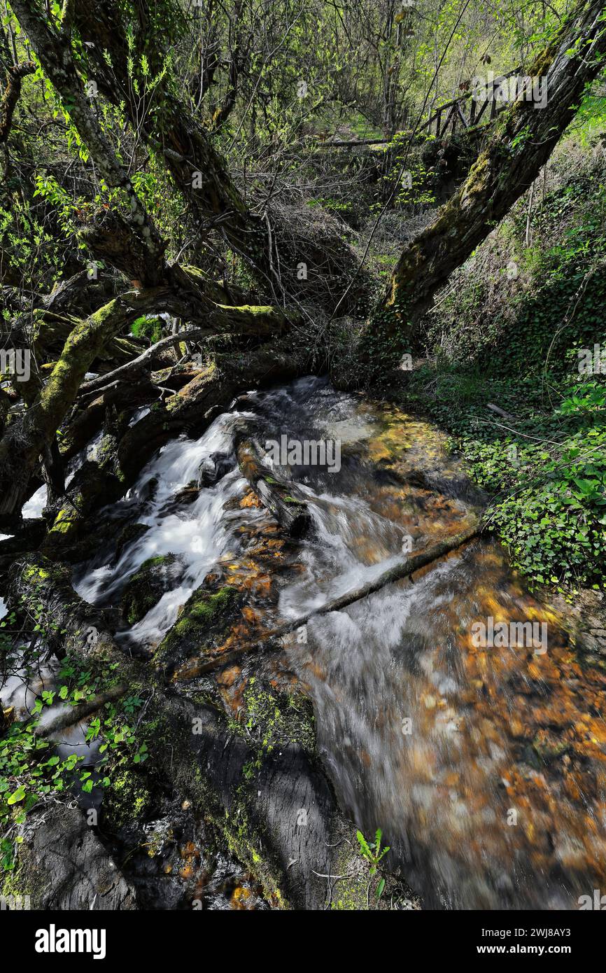 340+ débit d'eau élevé des sources de Vevcani descendant de la montagne Jablanica, puis coulant à travers le village. Vevchani-Macédoine du Nord. Banque D'Images