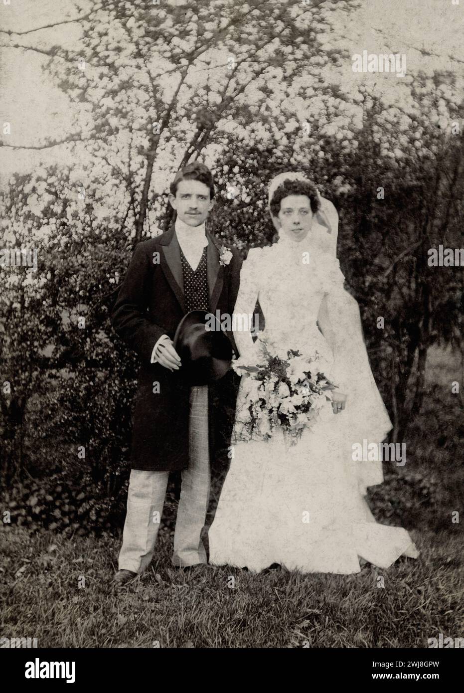 Une mariée et un marié posant dehors Banque D'Images