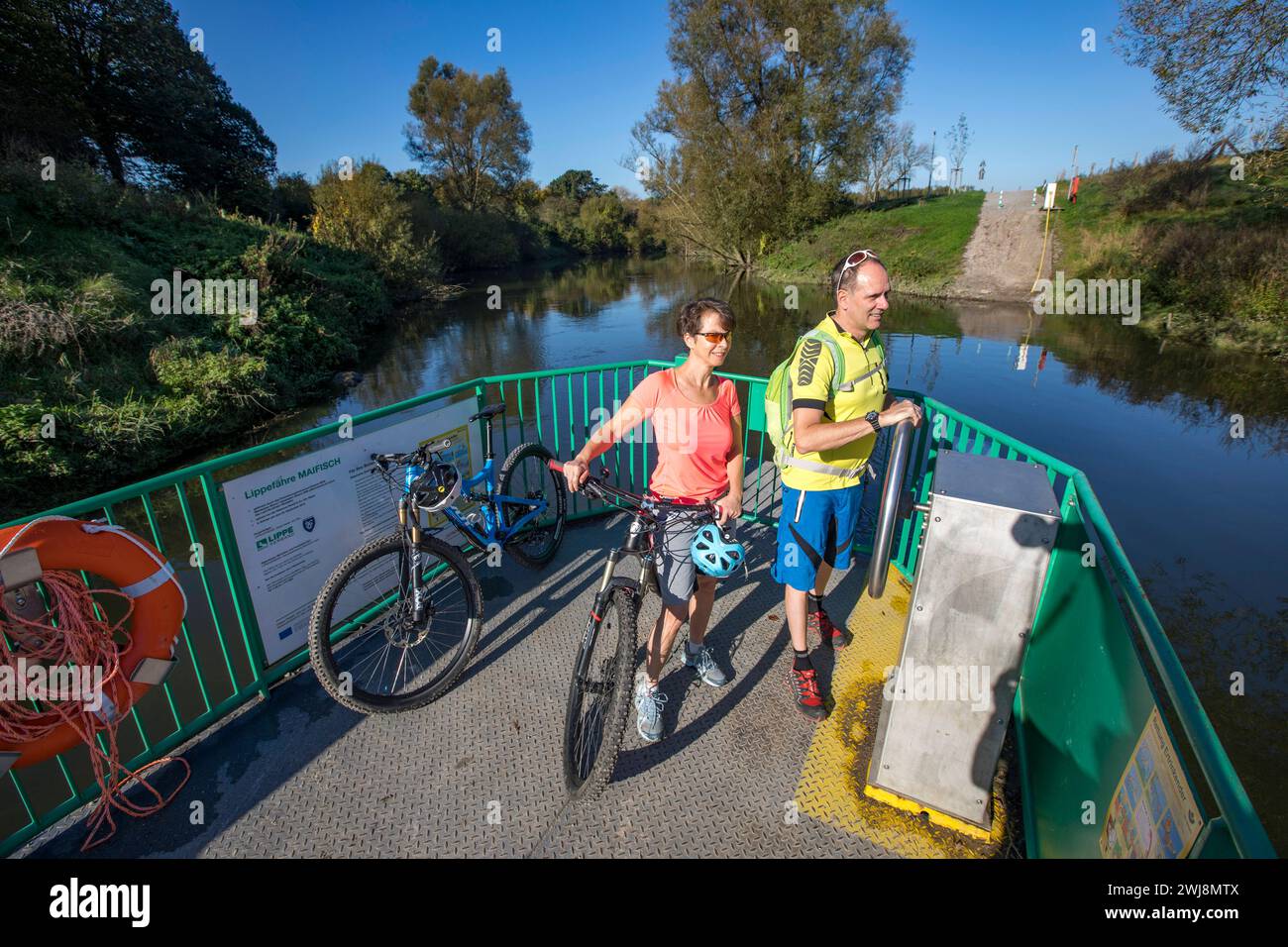 Radfahrer, Radtour, Handbetriebene Fähre über die Lippe BEI Halten am See, Am Radwanderweg Römer-Lippe-route, NRW, Naturpark Hohe Mark Westmünsterland, Lippe Fähre Maifisch *** cycliste, tour à vélo, ferry manuel à travers la Lippe près de Halten am See, sur la piste cyclable Römer Lippe route, NRW, Parc naturel Hohe Mark Westmünsterland, Lippe ferry Maifisch Banque D'Images