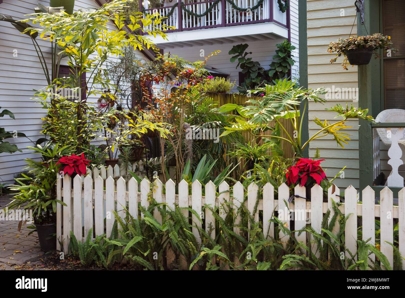 Petit jardin dans la cour arrière d'une maison dans la vieille ville de St Augustine, Floride, USA Banque D'Images