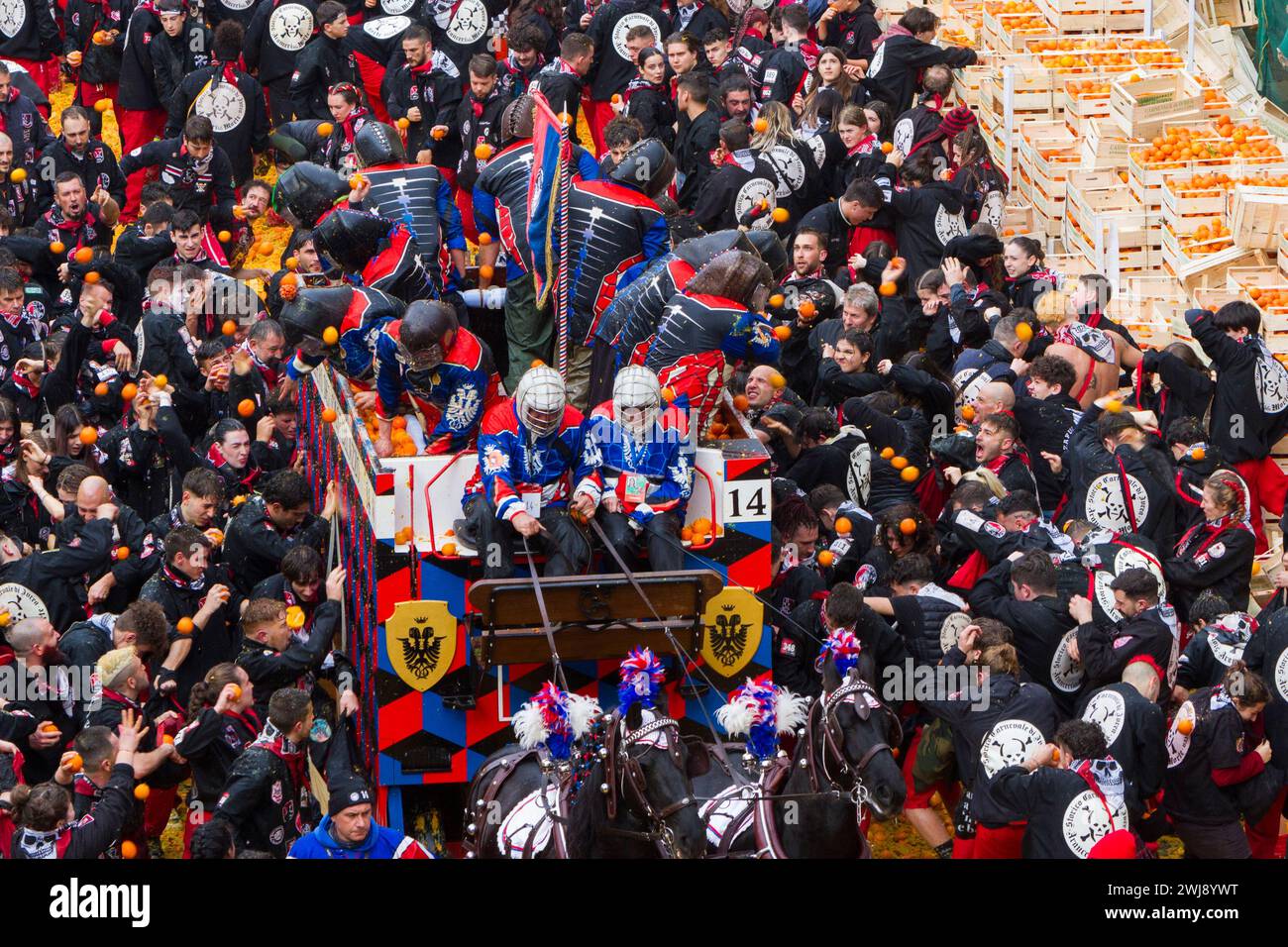 Ivrea, Italie. 12 février 2024. Une charrette se déplace à travers une foule serrée de lanceurs d'oranges pendant la 'bataille des oranges' au Carnaval historique d'Ivrea crédit : Marco Destefanis/Alamy Live News Banque D'Images