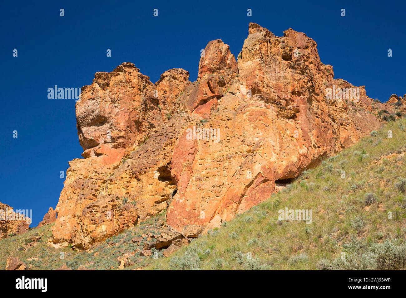 Canyon affleurements, Leslie Gulch Domaine de préoccupation environnementale essentielle, Vale District Bureau de la gestion des terres, de l'Oregon Banque D'Images