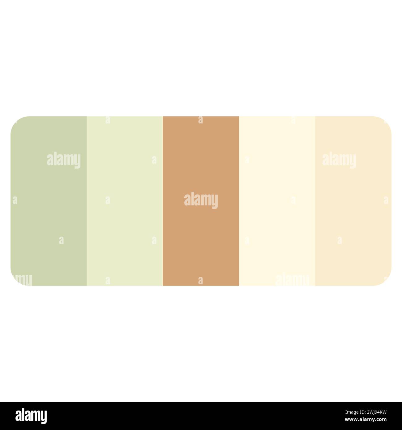 Illustration vectorielle avec palette. Palette de couleurs de contretypage. Palette de guides de couleurs tendance mode. Guide de couleurs HEXADÉCIMAL RVB Swatch Catalog Collection. Illustration de Vecteur