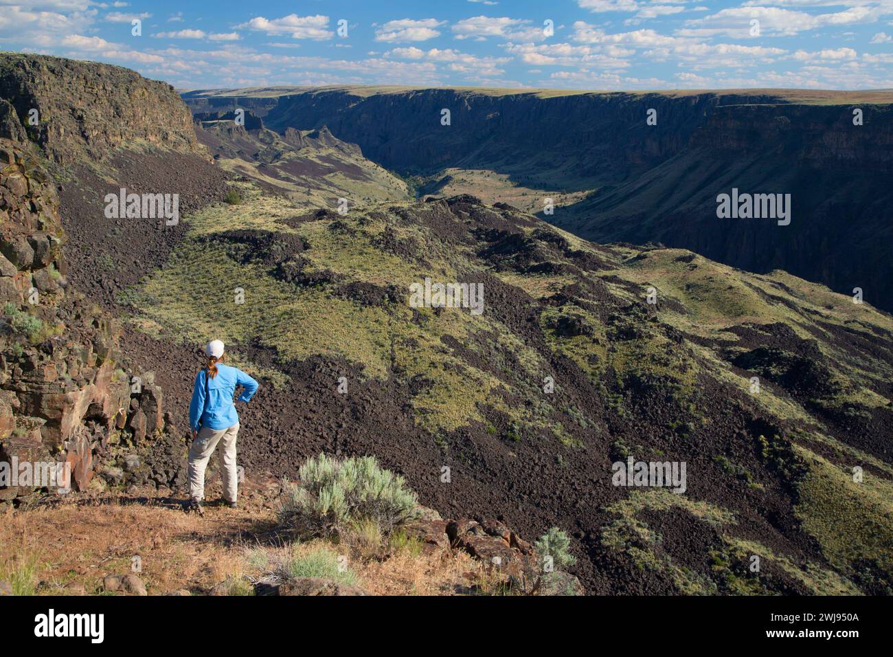 Owyhee Canyon Overlook, Valley Wild and Scenic River, Vale District Bureau de la gestion des terres, de l'Oregon Banque D'Images