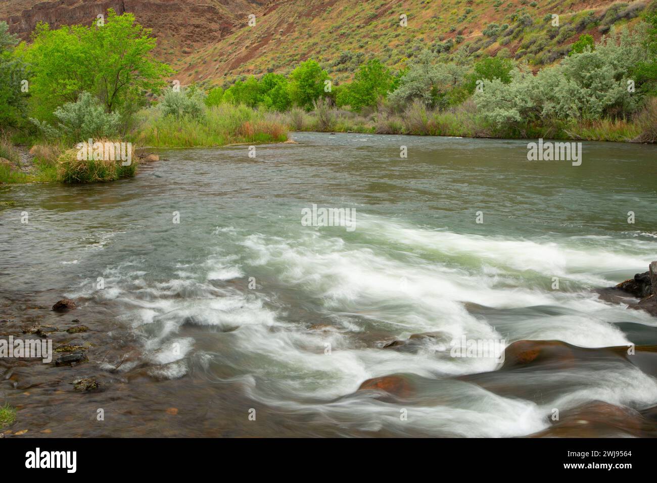 Owyhee River Canyon inférieur, Vale District Bureau de la gestion des terres, de l'Oregon Banque D'Images