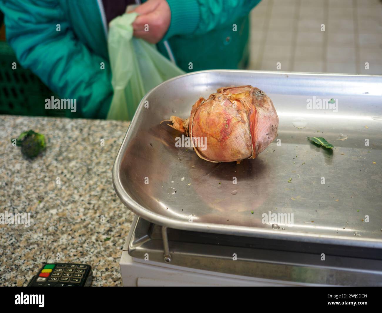 le vendeur de femme senior pèse gros oignon rose organique dans une balance à l'image haute résolution de magasin de détail Banque D'Images