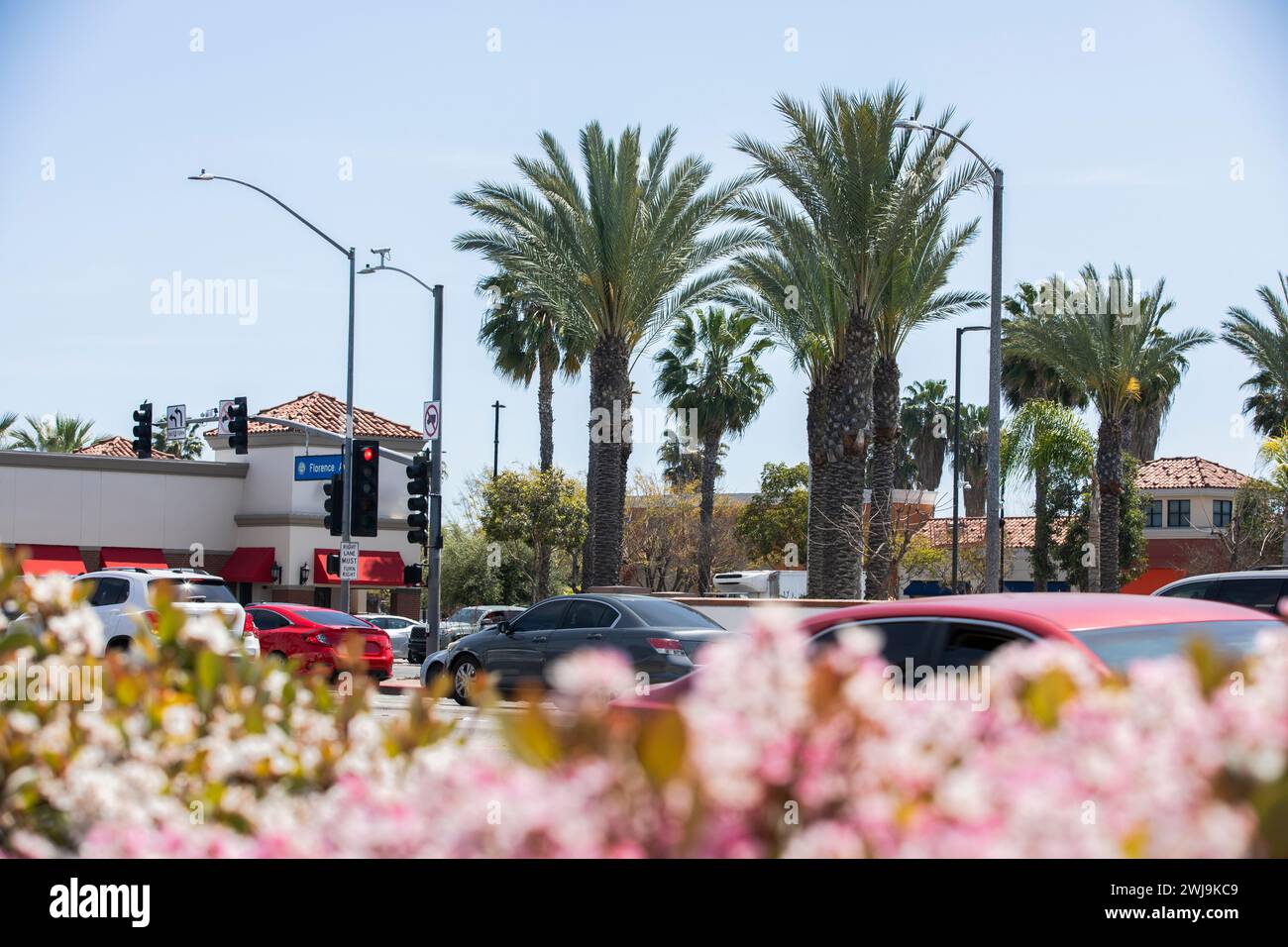 Vue encadrée de fleurs et d'arbres du noyau urbain du centre-ville de Bell Gardens, Californie, États-Unis. Banque D'Images