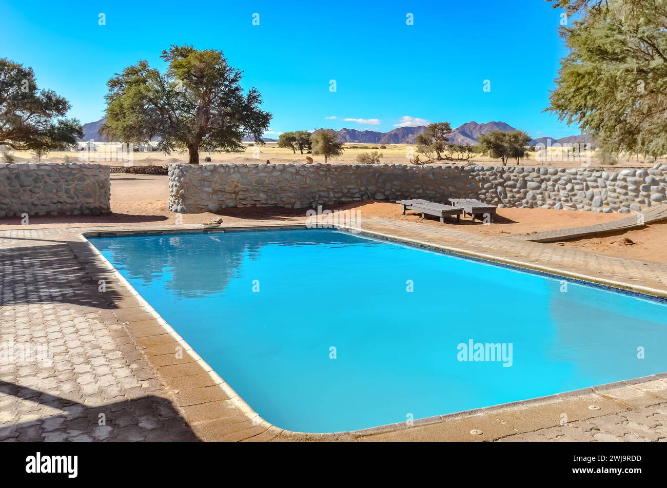 Piscine dans le camp Lodge safari de luxe dans la réserve naturelle de savane africaine, Namibie, Afrique du Sud Banque D'Images