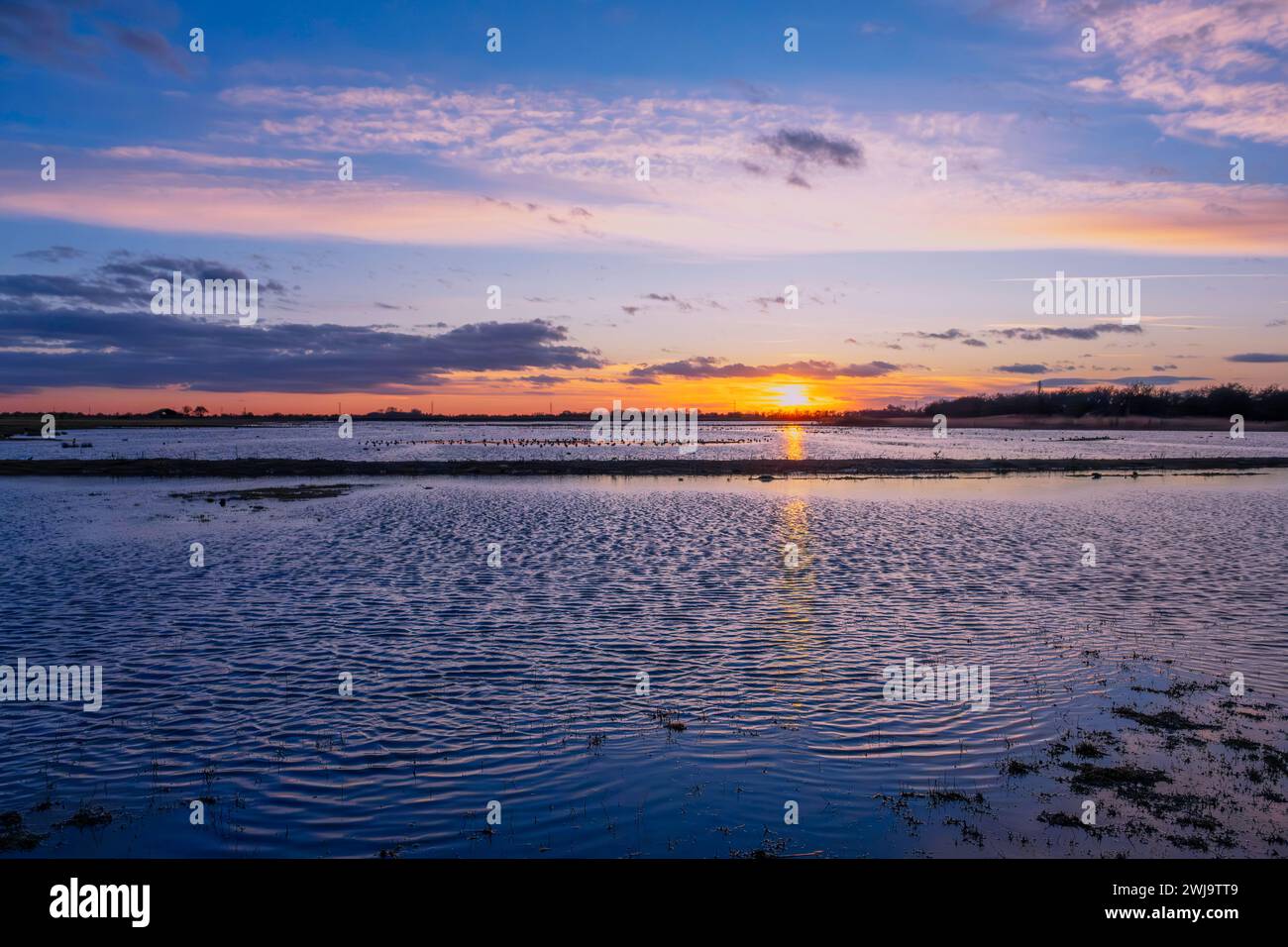 RSPB Frampton Marsh au coucher du soleil regardant sur les champs inondés. Frampton, Boston, Lincolnshire. Banque D'Images