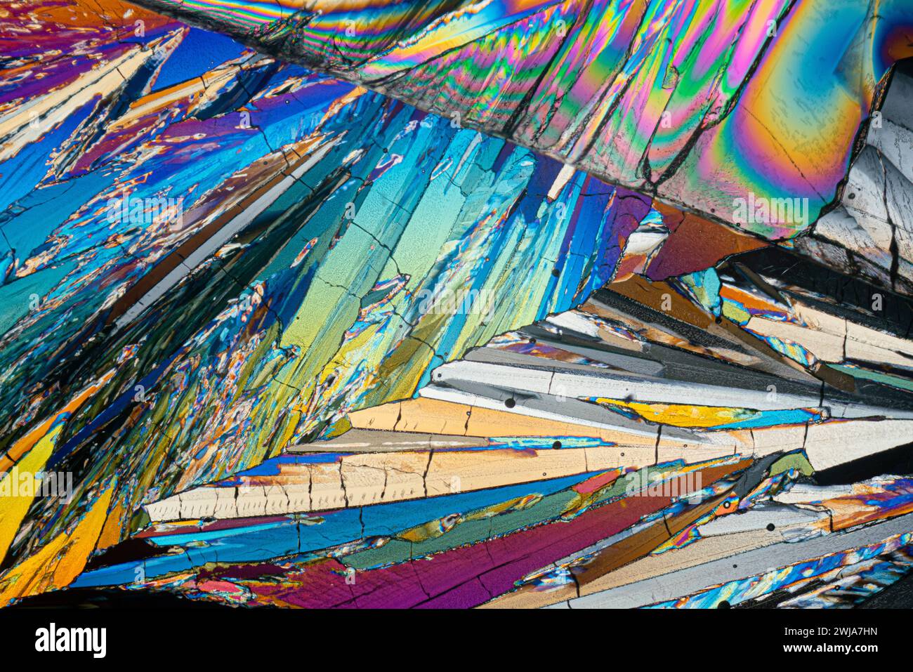 Vue microscopique vive des cristaux de sucre d'érythritol affichant un kaléidoscope de couleurs avec des formes et des motifs angulaires Banque D'Images