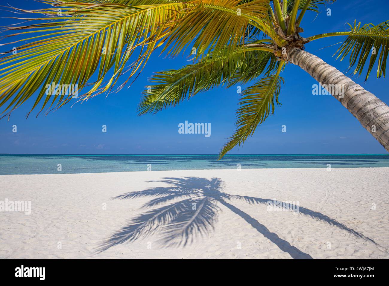 Meilleur paysage de voyage. Paradise Beach île tropicale incroyable. De beaux palmiers en gros plan idylliques vagues de mer ensoleillent les nuages de ciel bleu. Tourisme de luxe Banque D'Images