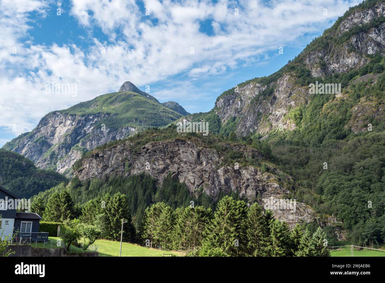 Vue sur la vallée depuis le célèbre train Flåmsbana (chemin de fer de Flåm) sur le chemin de Flåm à Myrdal, Norvège. Banque D'Images