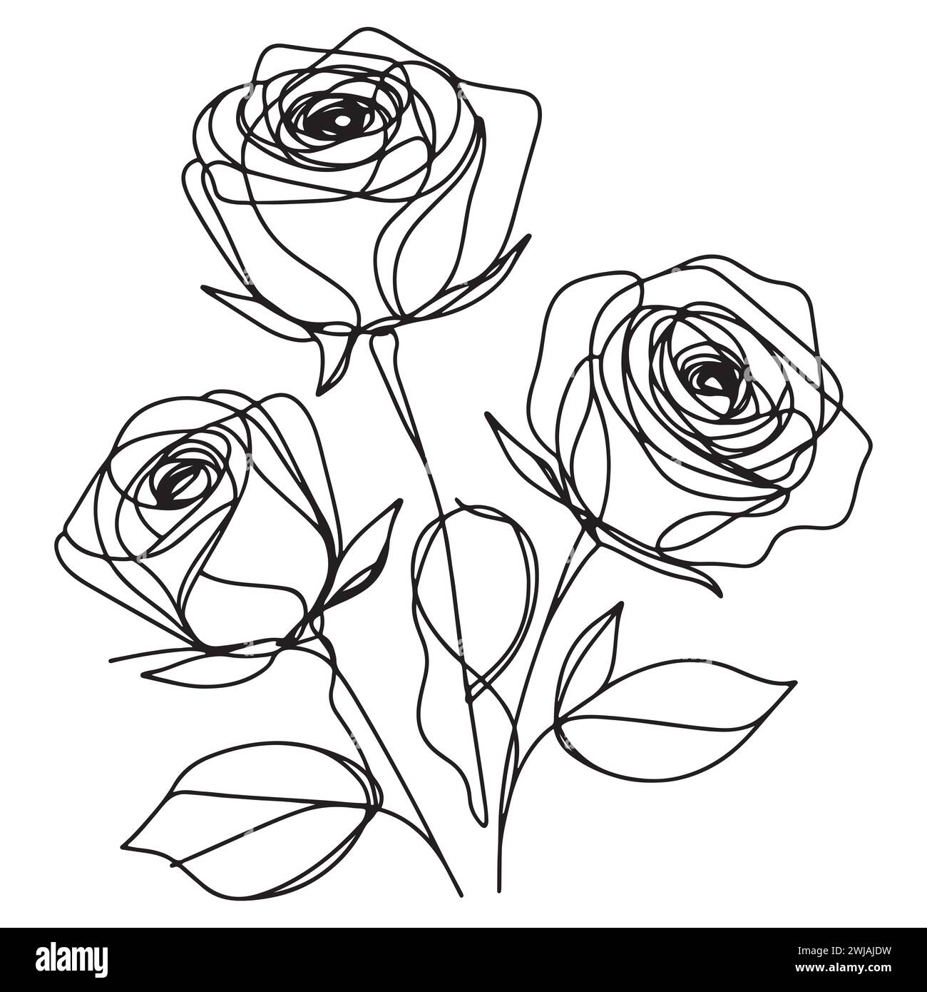 Design minimaliste et élégant représentant trois roses dans le style croquis au trait. L'arrangement floral est fait dans des couleurs noir et blanc. Illustration de Vecteur Design minimaliste et élégant représentant trois roses dans le style croquis au trait. L'arrangement floral est fait dans des couleurs noir et blanc. Illustration de Vecteur