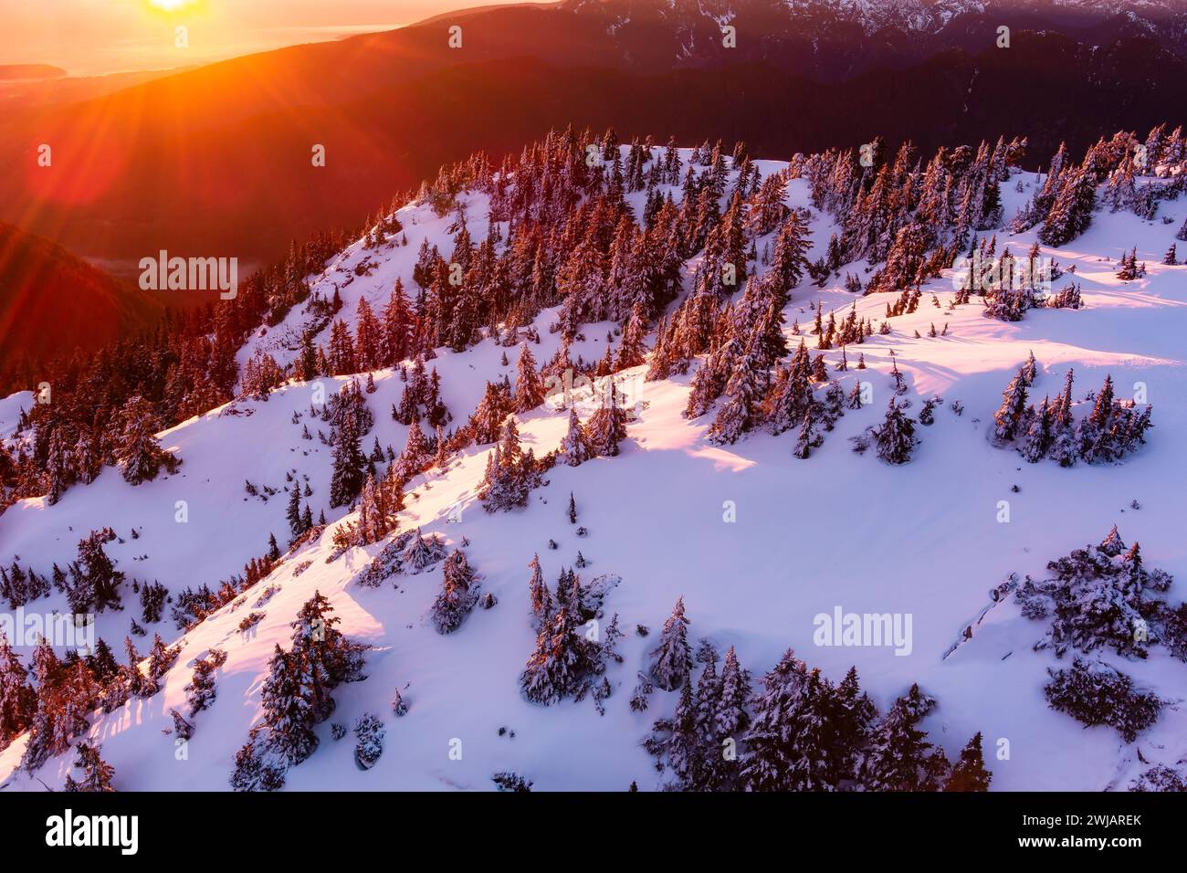 Un magnifique coucher de soleil sur la chaîne de montagnes avec des pins majestueux au premier plan. Banque D'Images