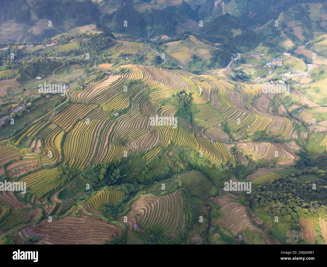 Une vue aérienne de nombreuses rizières en terrasses dans le district de Mu Cang Chai, Vietnam Banque D'Images